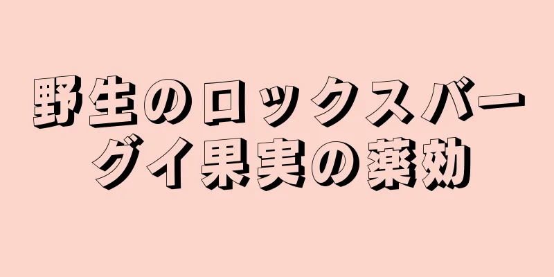 野生のロックスバーグイ果実の薬効