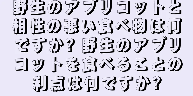 野生のアプリコットと相性の悪い食べ物は何ですか? 野生のアプリコットを食べることの利点は何ですか?