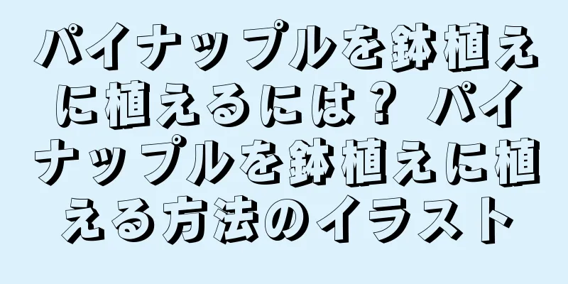 パイナップルを鉢植えに植えるには？ パイナップルを鉢植えに植える方法のイラスト
