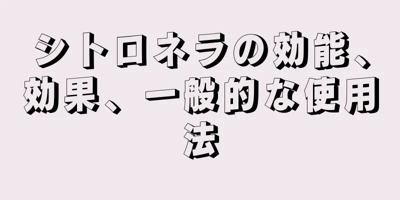 シトロネラの効能、効果、一般的な使用法