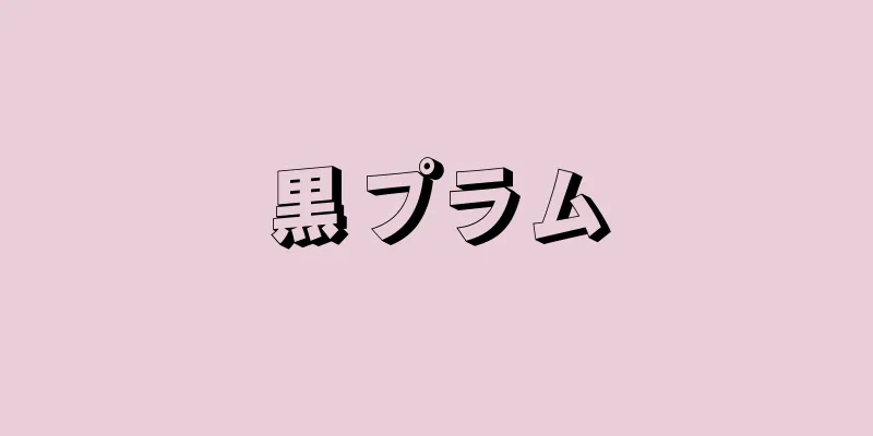 黒プラム
