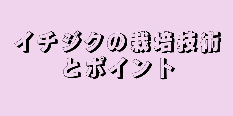 イチジクの栽培技術とポイント