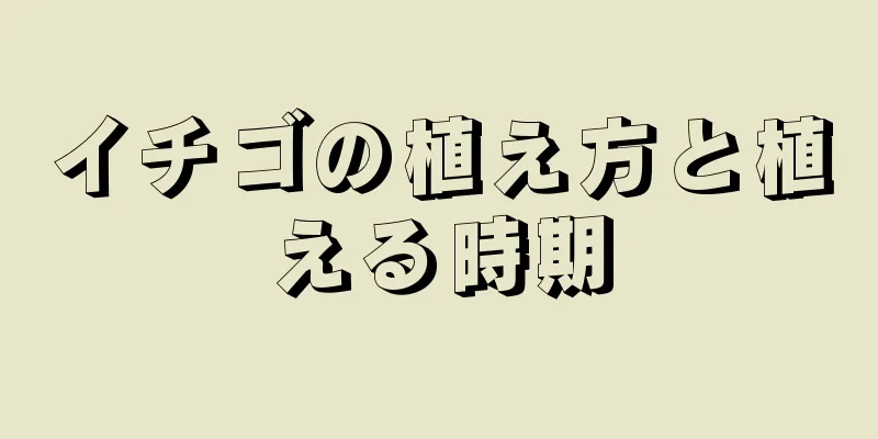 イチゴの植え方と植える時期