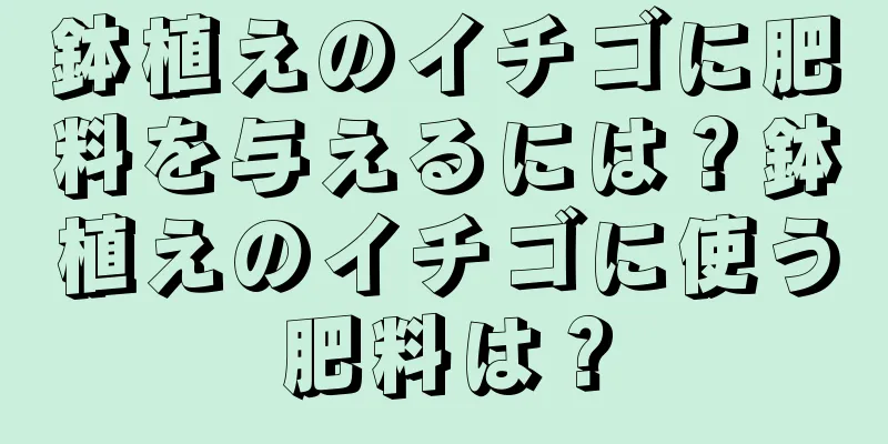 鉢植えのイチゴに肥料を与えるには？鉢植えのイチゴに使う肥料は？