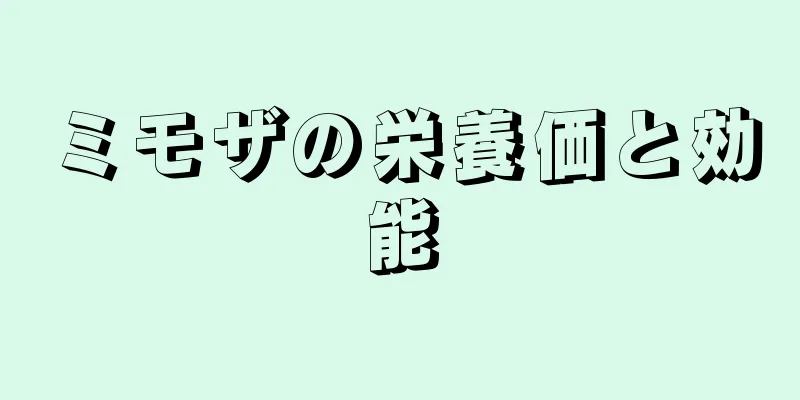 ミモザの栄養価と効能