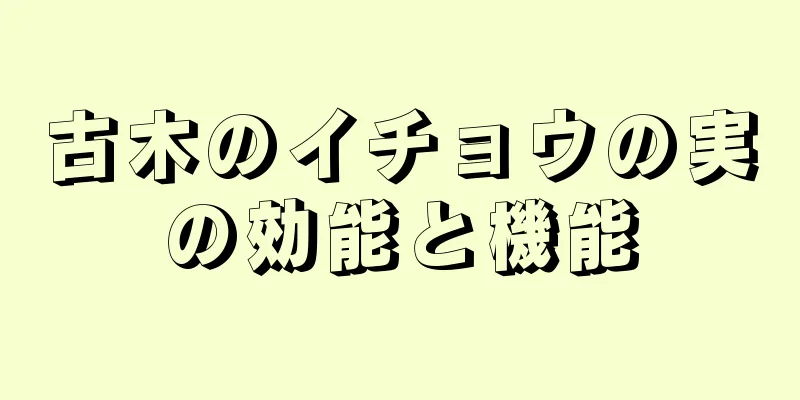 古木のイチョウの実の効能と機能