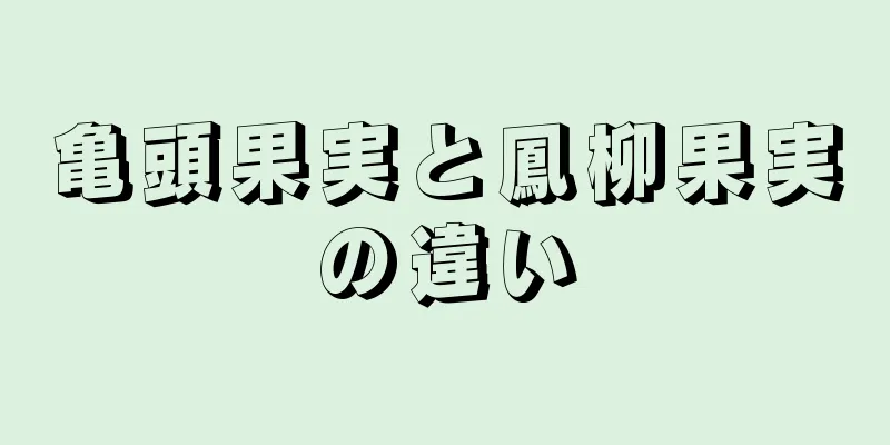 亀頭果実と鳳柳果実の違い