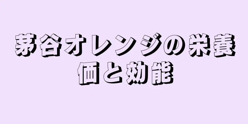 茅谷オレンジの栄養価と効能