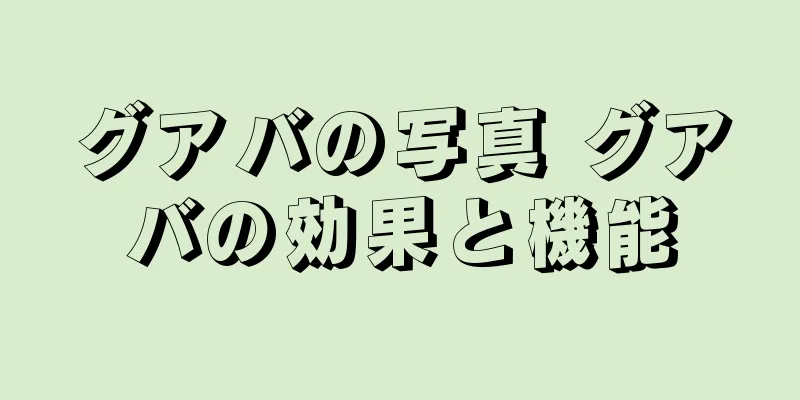 グアバの写真 グアバの効果と機能