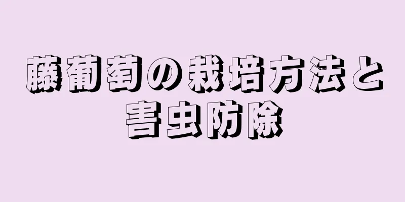 藤葡萄の栽培方法と害虫防除