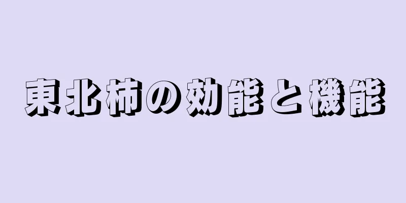 東北柿の効能と機能