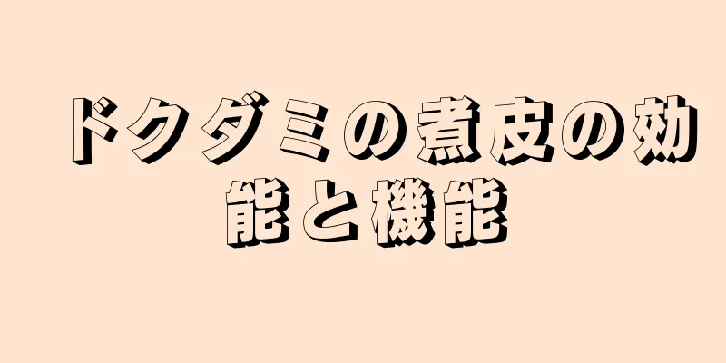 ドクダミの煮皮の効能と機能