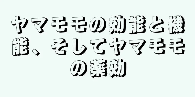 ヤマモモの効能と機能、そしてヤマモモの薬効