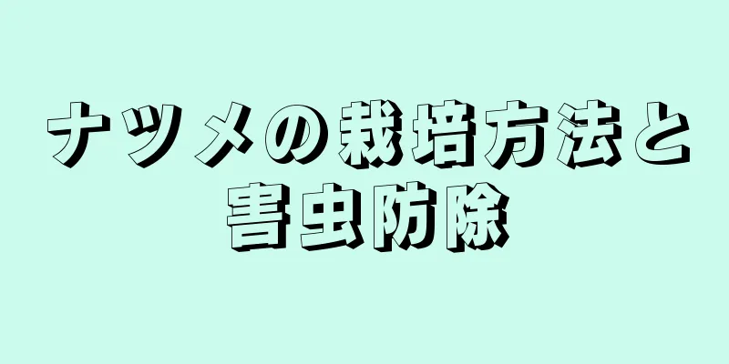 ナツメの栽培方法と害虫防除