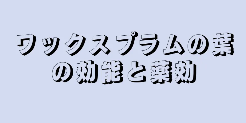ワックスプラムの葉の効能と薬効