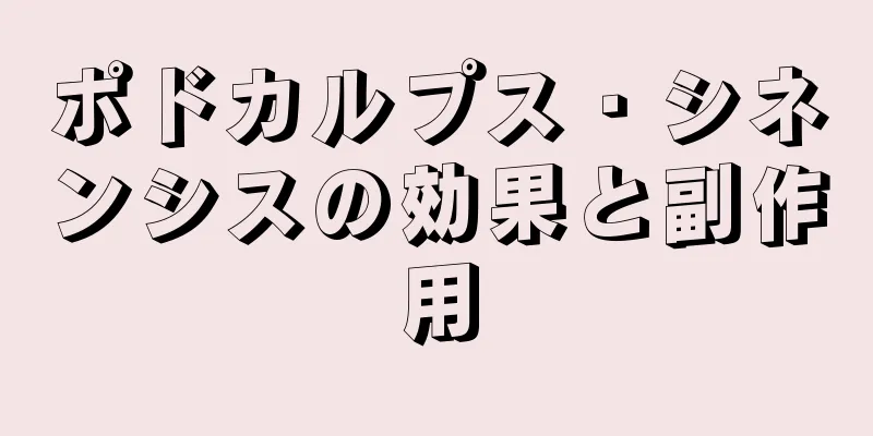 ポドカルプス・シネンシスの効果と副作用