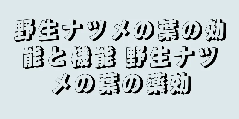 野生ナツメの葉の効能と機能 野生ナツメの葉の薬効