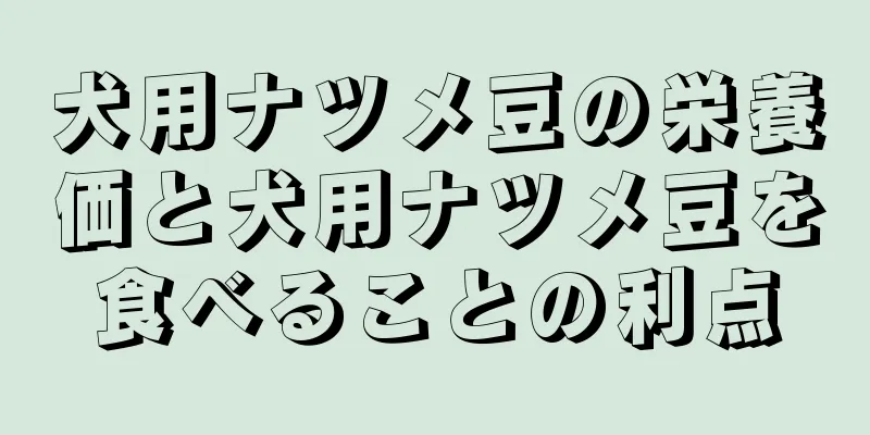犬用ナツメ豆の栄養価と犬用ナツメ豆を食べることの利点