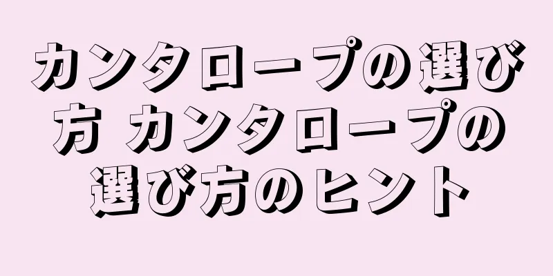 カンタロープの選び方 カンタロープの選び方のヒント