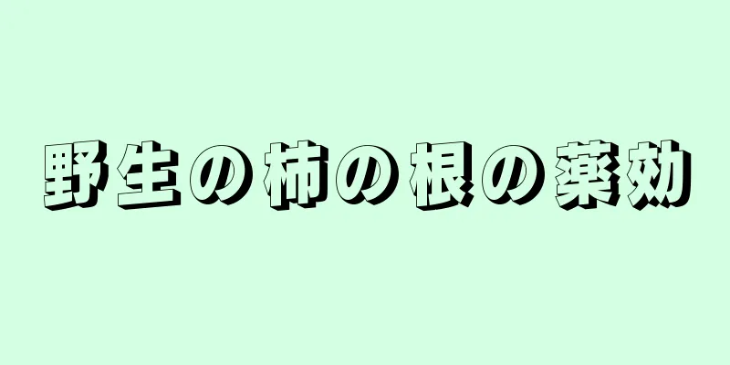 野生の柿の根の薬効