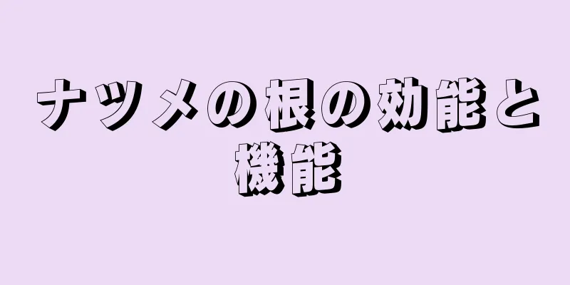 ナツメの根の効能と機能