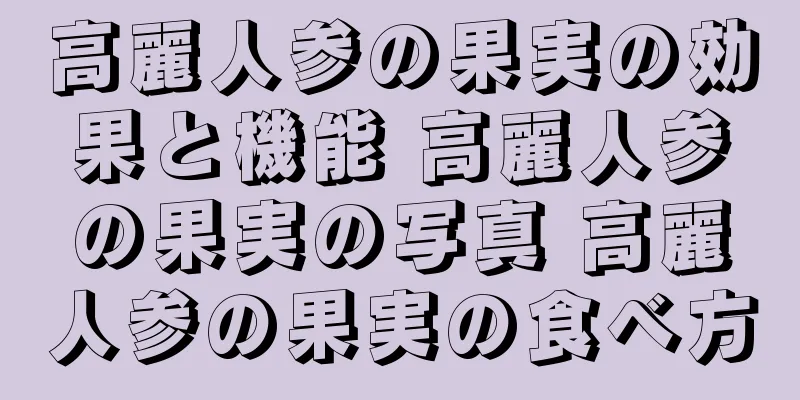 高麗人参の果実の効果と機能 高麗人参の果実の写真 高麗人参の果実の食べ方