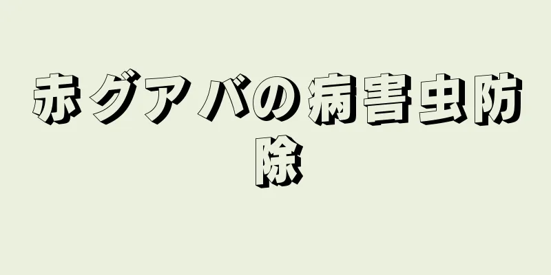 赤グアバの病害虫防除