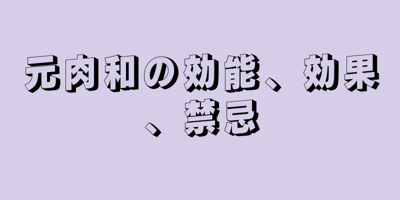 元肉和の効能、効果、禁忌
