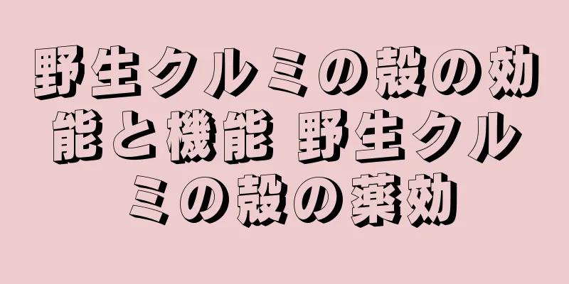 野生クルミの殻の効能と機能 野生クルミの殻の薬効