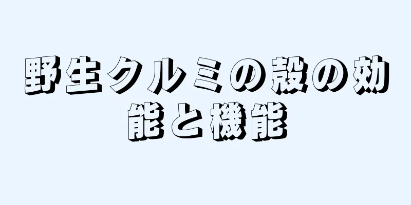 野生クルミの殻の効能と機能