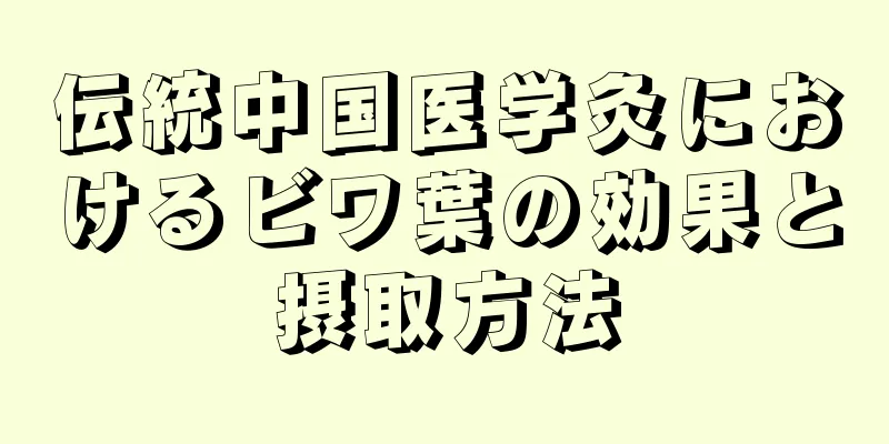 伝統中国医学灸におけるビワ葉の効果と摂取方法