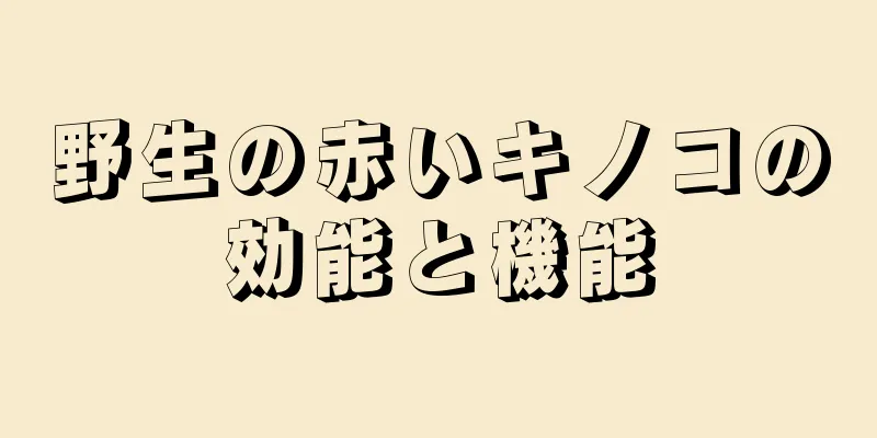 野生の赤いキノコの効能と機能