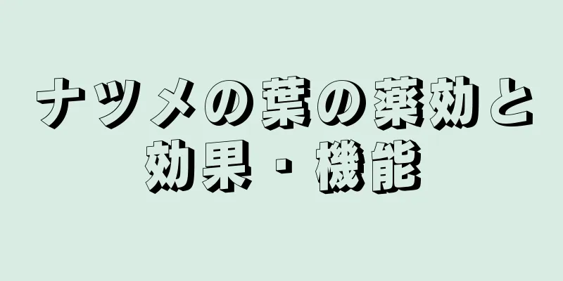 ナツメの葉の薬効と効果・機能