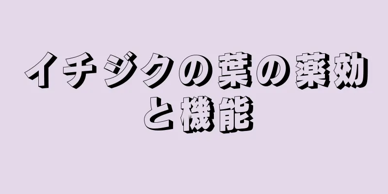 イチジクの葉の薬効と機能