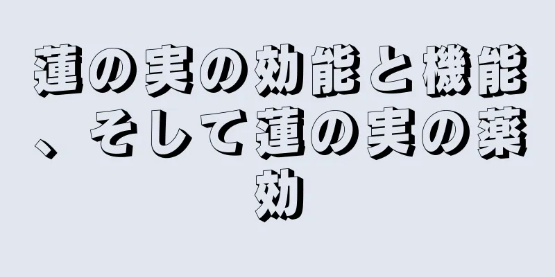 蓮の実の効能と機能、そして蓮の実の薬効