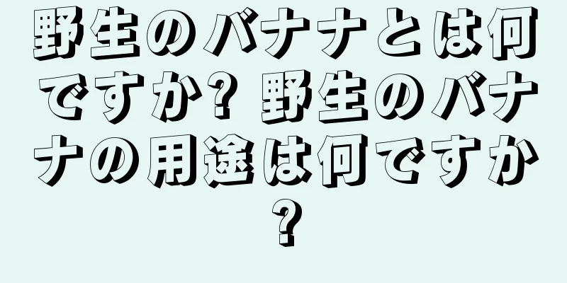 野生のバナナとは何ですか? 野生のバナナの用途は何ですか?