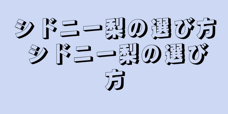 シドニー梨の選び方 シドニー梨の選び方