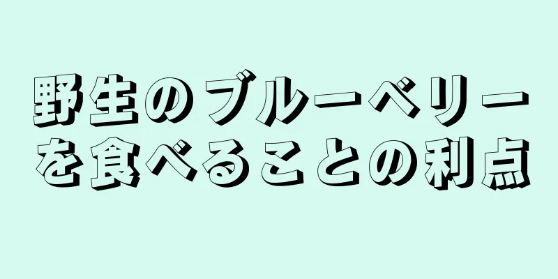 野生のブルーベリーを食べることの利点