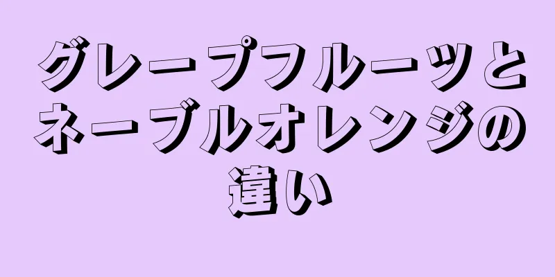 グレープフルーツとネーブルオレンジの違い