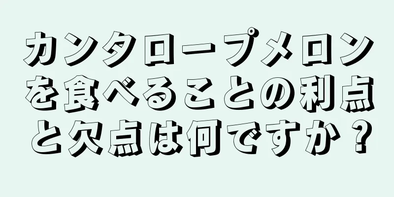 カンタロープメロンを食べることの利点と欠点は何ですか？