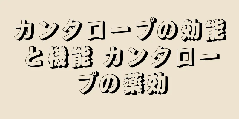 カンタロープの効能と機能 カンタロープの薬効