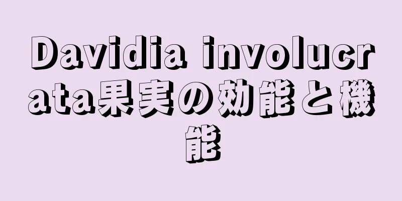 Davidia involucrata果実の効能と機能