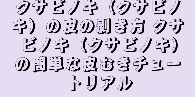 クサビノキ（クサビノキ）の皮の剥き方 クサビノキ（クサビノキ）の簡単な皮むきチュートリアル