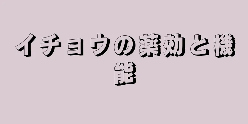 イチョウの薬効と機能