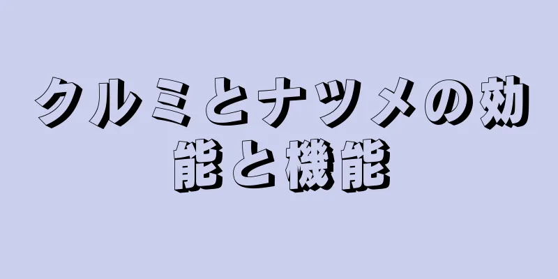クルミとナツメの効能と機能