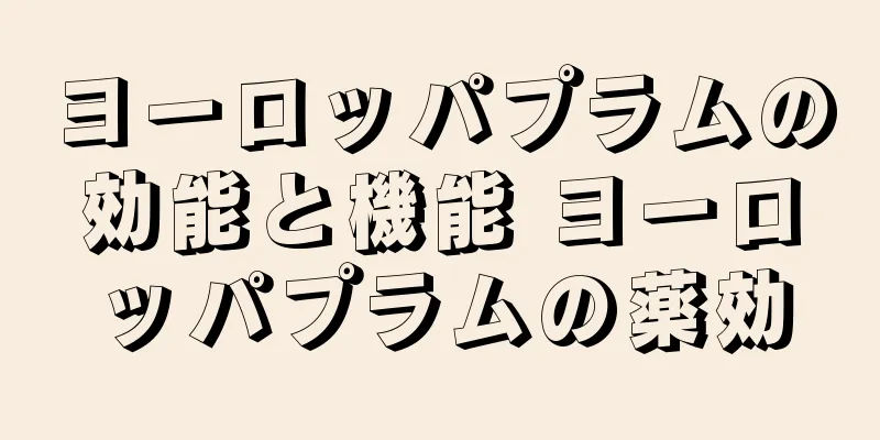 ヨーロッパプラムの効能と機能 ヨーロッパプラムの薬効
