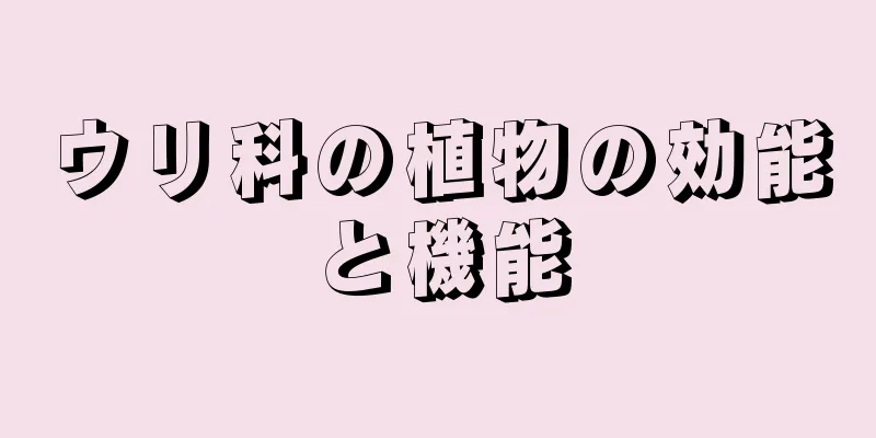 ウリ科の植物の効能と機能