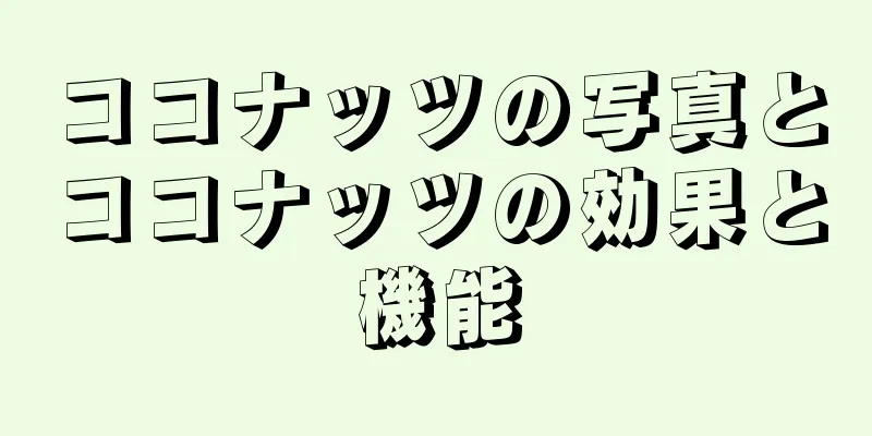 ココナッツの写真とココナッツの効果と機能