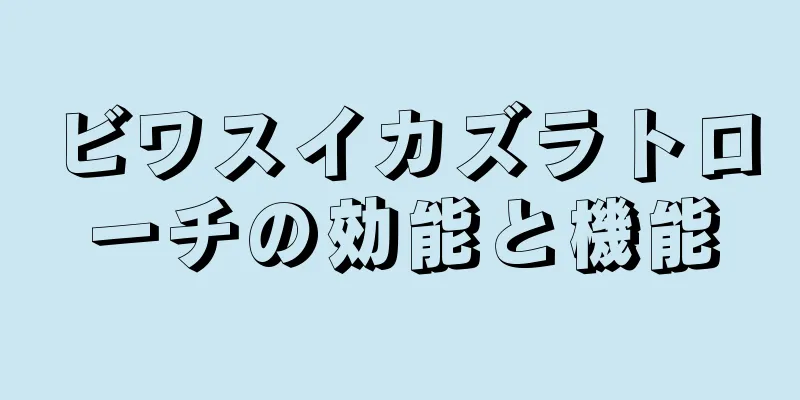 ビワスイカズラトローチの効能と機能