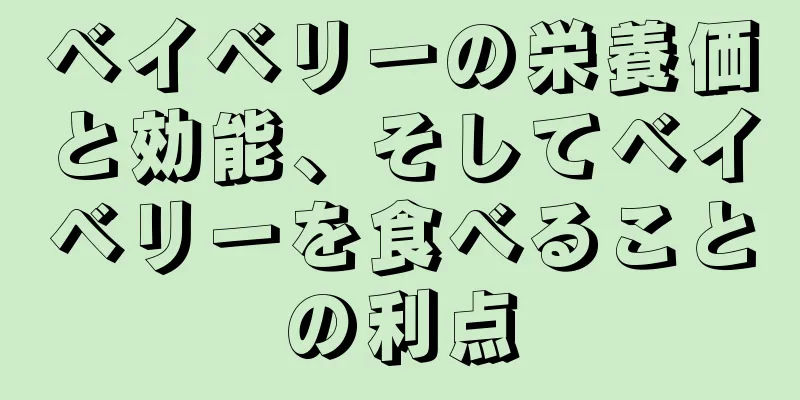 ベイベリーの栄養価と効能、そしてベイベリーを食べることの利点